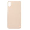 Vetro scocca iPhone xs oro