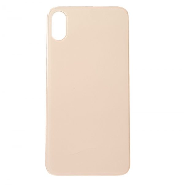 Vetro scocca iPhone xs oro